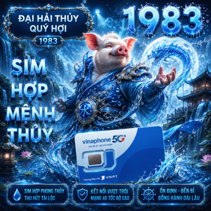 Sim Vina Số Đẹp Hợp Tuổi 1983 Quý Hợi Mệnh Đại Hải Thủy Thu Hút Tài Lộc Và May Mắn