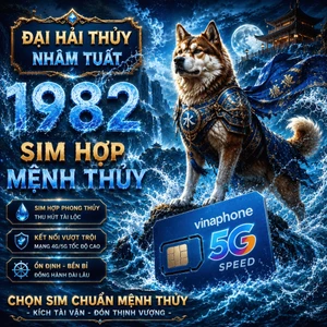 Sim Vina Số Đẹp Hợp Tuổi 1982 Nhâm Tuất Mệnh Đại Hải Thủy Thu Hút Tài Lộc Và May Mắn