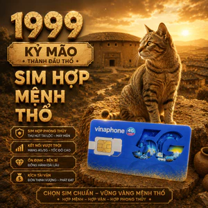 Sim Vinaphone Phong Thủy Hợp Tuổi 1999 Kỷ Mão Mệnh Thành Đầu Thổ sim chính chủ hợp mệnh hợp tuổi