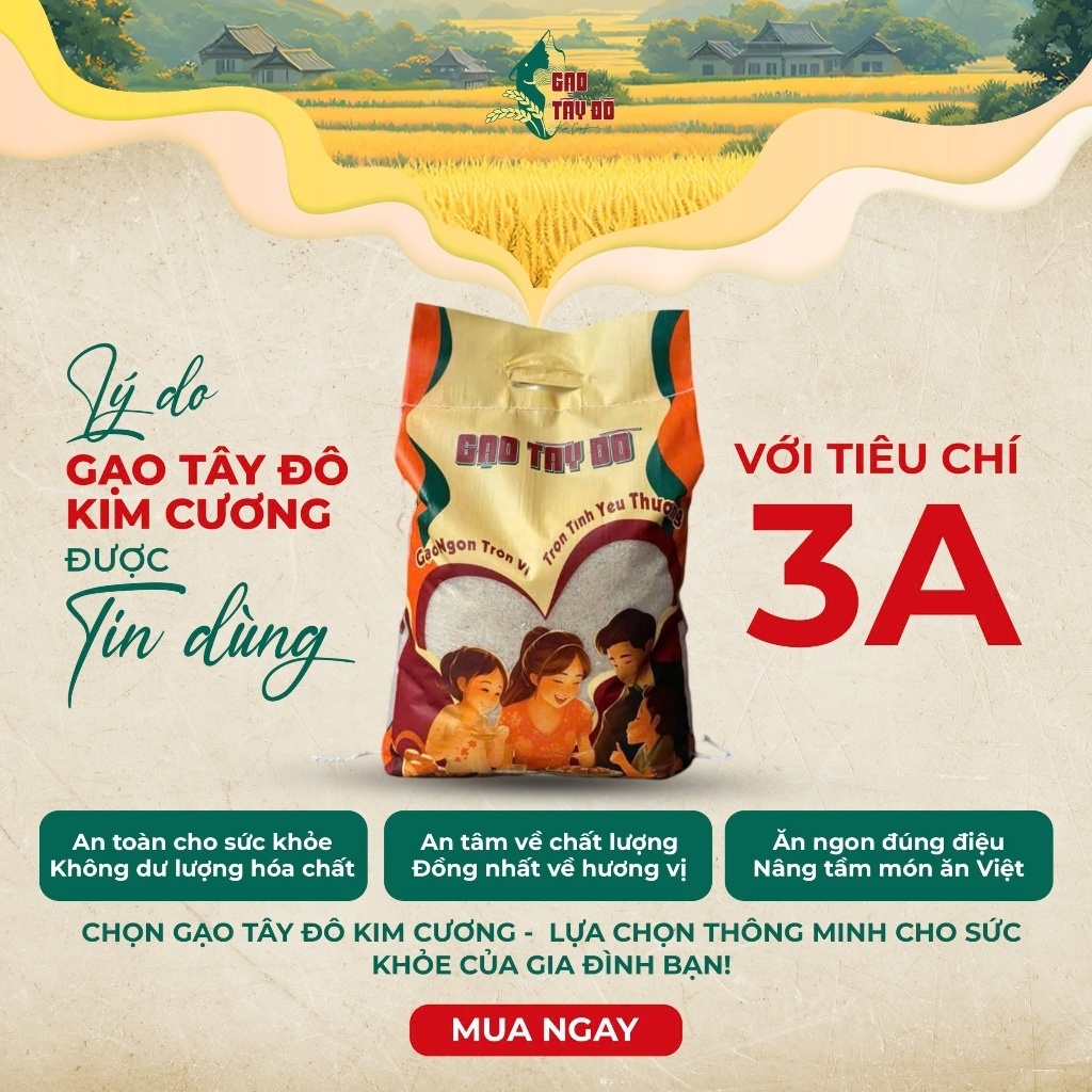 [TLM2] Gạo Thơm Lài Miên Tây Đô Kim Cương 2kg - Mềm Dẻo, Thơm Nhẹ, Ngọt Thanh