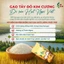 Combo 10Kg Gạo Tây Đô Kim Cương 5Kg Thơm Lài Thái + 5Kg ST25 Lúa Tôm - Gạo Ngon, Thơm Dẻo