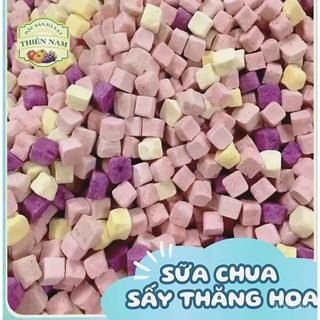 Sữa Chua Viên Sấy Thăng Hoa  Mix 4 Vị Trái Cây, Giòn Xốp Đặc Sản Đà Lạt