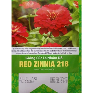 Gói 1gr Cúc Lá Nhám Đỏ RED ZINNIA 218, Trồng Quanh Năm, Hạt Giống Rạng Đông - CHÍNH HÃNG RẠNG ĐÔNG (DATE MỚI NHẤT)