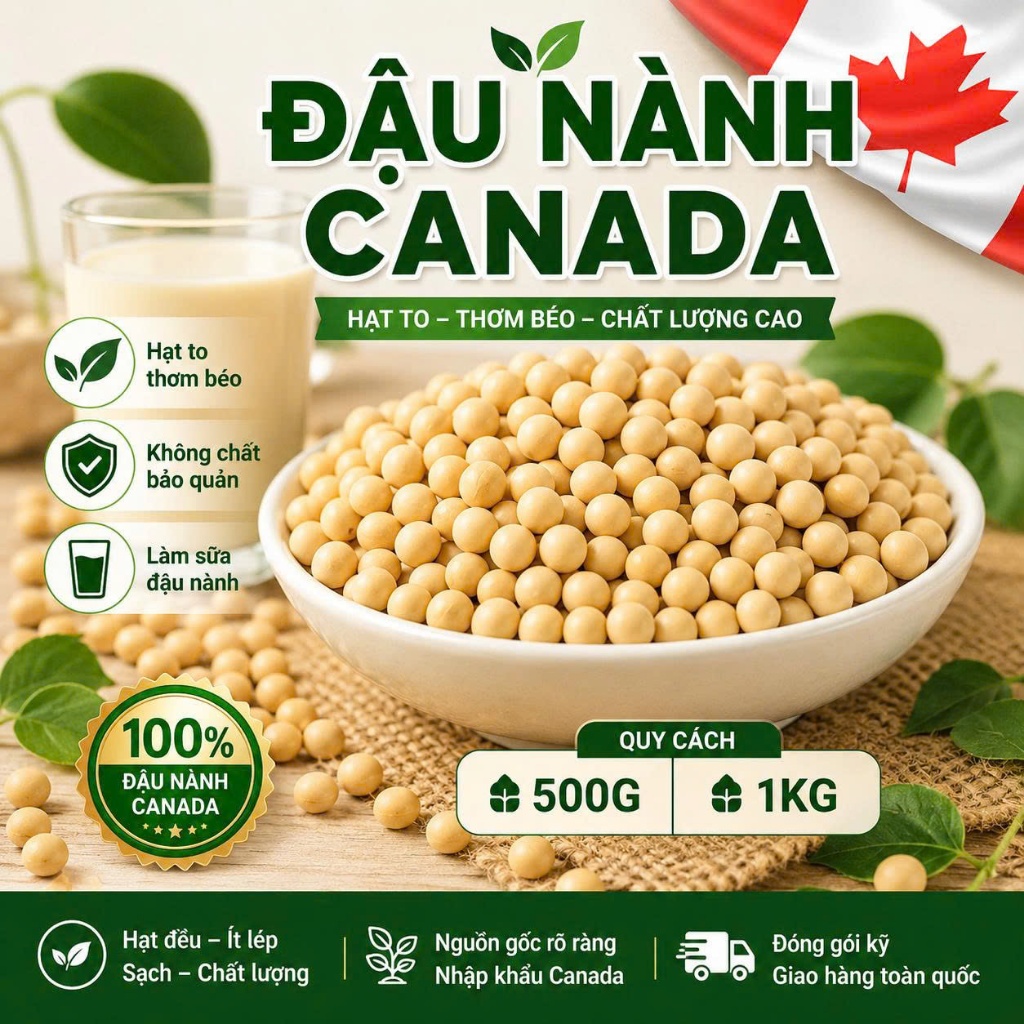 Đậu Nành Canada Hạt To Sạch Nguyên Chất Làm Sữa Đậu Nành Ngũ Cốc Ăn Chay