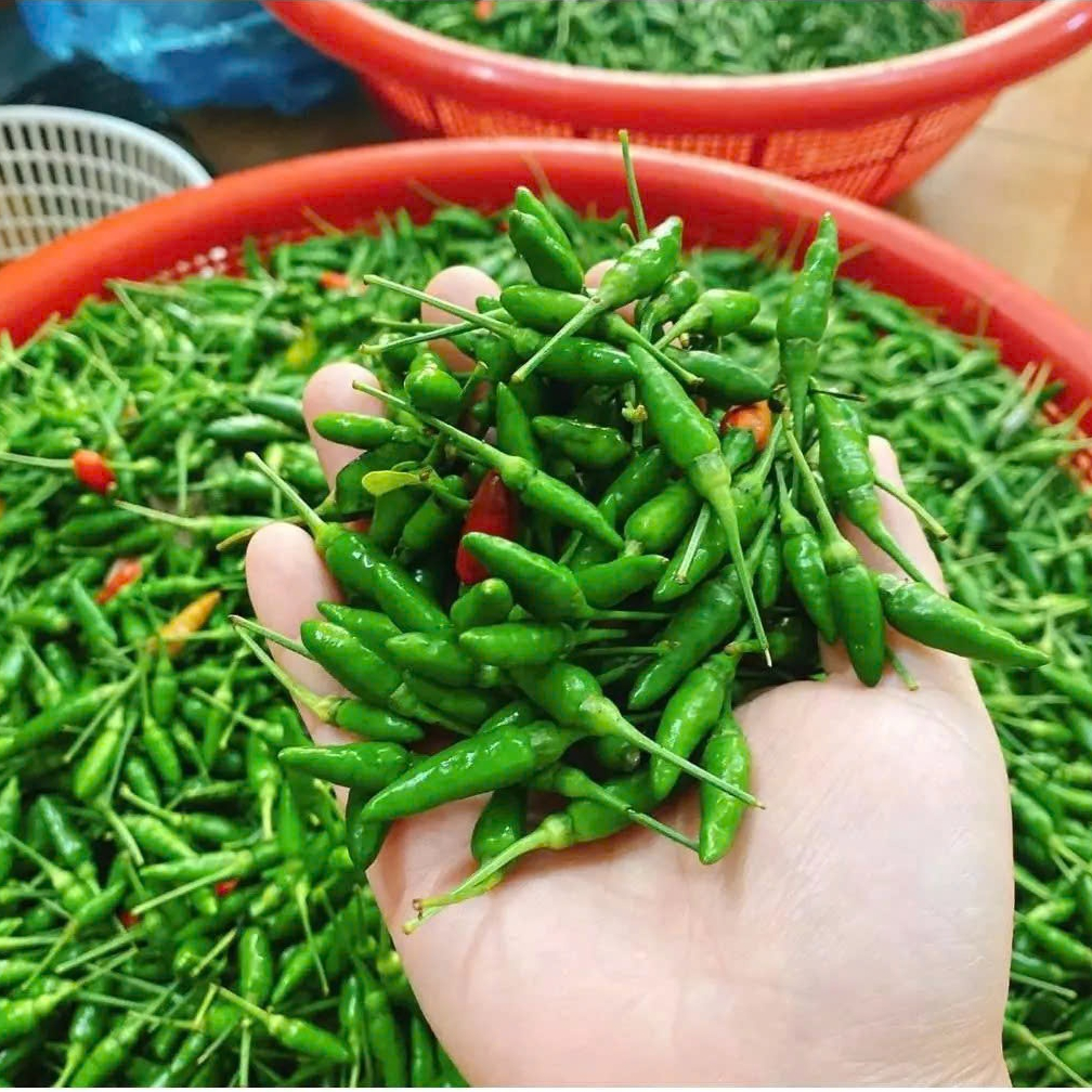 Muối Ớt Xanh Đặc Biệt ( Ớt Xiêm Xanh) - Cay nồng, siêu ngon, đặc sản Tây Ninh, chay mặn đều dùng đc