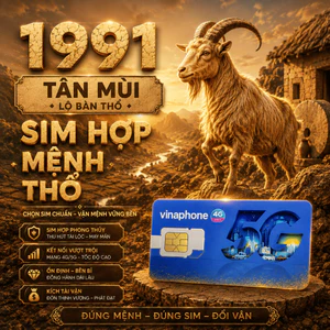 Vinaphone Sim Phong Thủy Cho Người Sinh Năm 1991 Tân Mùi Mệnh Lộ Bàng Thổ Hỗ Trợ Công Việc Và Tài Lộc