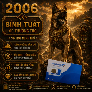 Sim Vinaphone Phong thủy Hợp Tuổi 2006 Bính Tuất Mệnh Ốc Thượng Thổ sim chính chủ