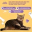 Thức ăn hạt Catlicious cho mèo vị Cá biển túi