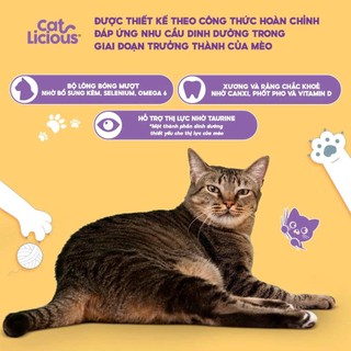 [BAO 20KG]  [CHÍNH HÃNG] [GIÁ TỐT] [TIẾT KIỆM] [TẶNG QUÀ] Thức ăn hạt Catlicious cho mèo vị Cá biển túi