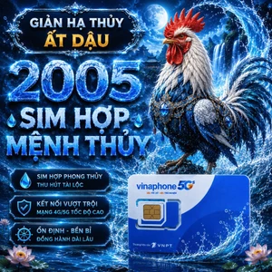 Sim Vina Số Đẹp Hợp Tuổi 2005 Ất Dậu Mệnh Tuyền Trung Thủy Thu Hút May Mắn