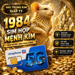 Sim Vina Số Đẹp Hợp Tuổi 1984 Giáp Tý Mệnh Hải Trung Kim Tăng Vượng Khí Hỗ Trợ Công Việc [DKCC Sim]