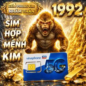 Sim Vina Số Đẹp Hợp Tuổi 1992 Nhâm Thân Mệnh Kiếm Phong Kim Thu Hút Tài Lộc