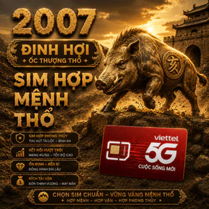 Sim Phong Thủy Hợp Tuổi 2007 Đinh Hợi Mệnh Ốc Thượng Thổ Tăng Tích Lũy Ổn Định Và Vượng Khí