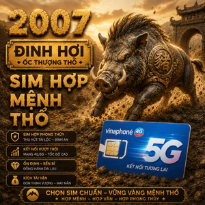 Sim Vinaphone Phong Thủy Hợp Tuổi 2007 Đinh Hợi Mệnh Ốc Thượng Thổ sim chính chủ hợp mệnh hợp tuổi