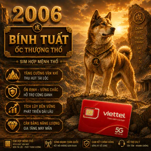 Sim Số Đẹp Hợp Tuổi 2006 Bính Tuất Mệnh Ốc Thượng Thổ Giúp Giữ Nền Tảng Vững Và Tăng Tài Lộc