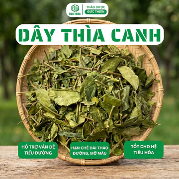 Dây Thìa Canh Loại 1 Đức Thiện (Khô, Sạch, Thơm) - Hỗ Trợ Cao Huyết Áp, Mỡ Trong Máu, Tiểu Đường