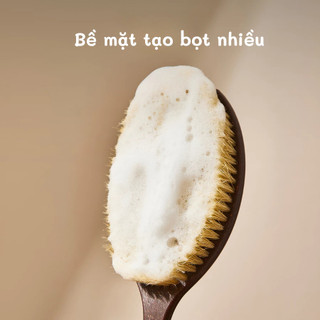 Bàn Chải Tắm Cán Dài Chà Lưng Thiết Kế Cán Dài Tiện Lợi, Bàn Chải Massage Lông Mềm Tẩy Tế Bào Chết Toàn Thân Hiệu Quả