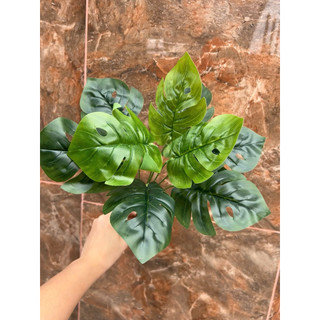 Cây Lá Rùa / Lá trầu bà rách / Monstera Trang Trí 30cm 55cm 76cm - Cây giả decor