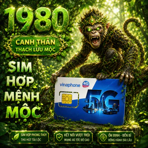 Sim Vinaphone Mệnh Mộc Năm Sinh 1980 Canh Thân Thạch Lưu Mộc, Sim Hợp Tuổi Hợp Mệnh chỉ từ 368K