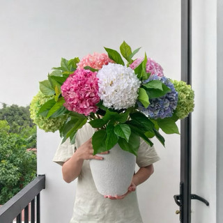 HOA CẨM TÚ CẦU VIP 20CM  CAO CẤP IN 3D LÁ CAO SU NHẬP KHẨU LOẠI 1 - HOA DECOR-HOA LỤA HẠNH HOAN