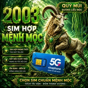 Sim Hợp Mệnh Mộc 2003 Quý Mùi Dương Liễu Mộc Sim Vinaphone phong thủy chính chủ giá rẻ