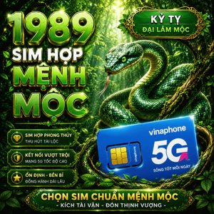 Sim Vinaphone phong thủy Hợp Tuổi 1989 Kỷ Tỵ Mệnh Đại Lâm Mộc sim chính chủ giá rẻ