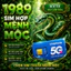 Sim Vinaphone phong thủy Hợp Tuổi 1989 Kỷ Tỵ Mệnh Đại Lâm Mộc sim chính chủ giá rẻ