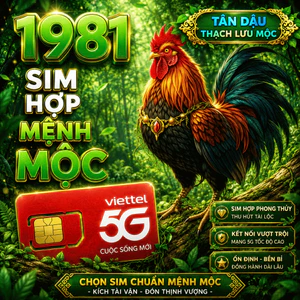 Sim Hợp Tuổi 1981 Tân Dậu Mệnh Thạch Lựu Mộc, Sim Phong Thủy Thu Hút Tài Lộc Vượng Khí [Sim DKCC]