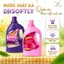 Nước giặt xả DrSoftly 5in1 siêu đậm đặc, sạch sâu, lưu hương lâu, phù hợp cho cả gia đình