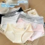 Combo 5 Quần lót nữ cotton cạp phối ren mềm mại, quần chíp nữ đáy 2 lớp kháng khuẩn 10a ZANABRA L5310