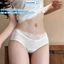 Combo 5 Quần lót nữ cotton cạp phối ren mềm mại, quần chíp nữ đáy 2 lớp kháng khuẩn 10a ZANABRA L5310