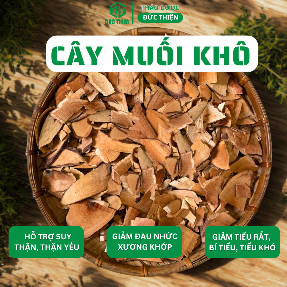 500g Cây Muối Khô Loại 1 Đức Thiện (Khô, Sạch, Thơm) - Hỗ Trợ Suy Thận, Thận Yếu, Thận Hư