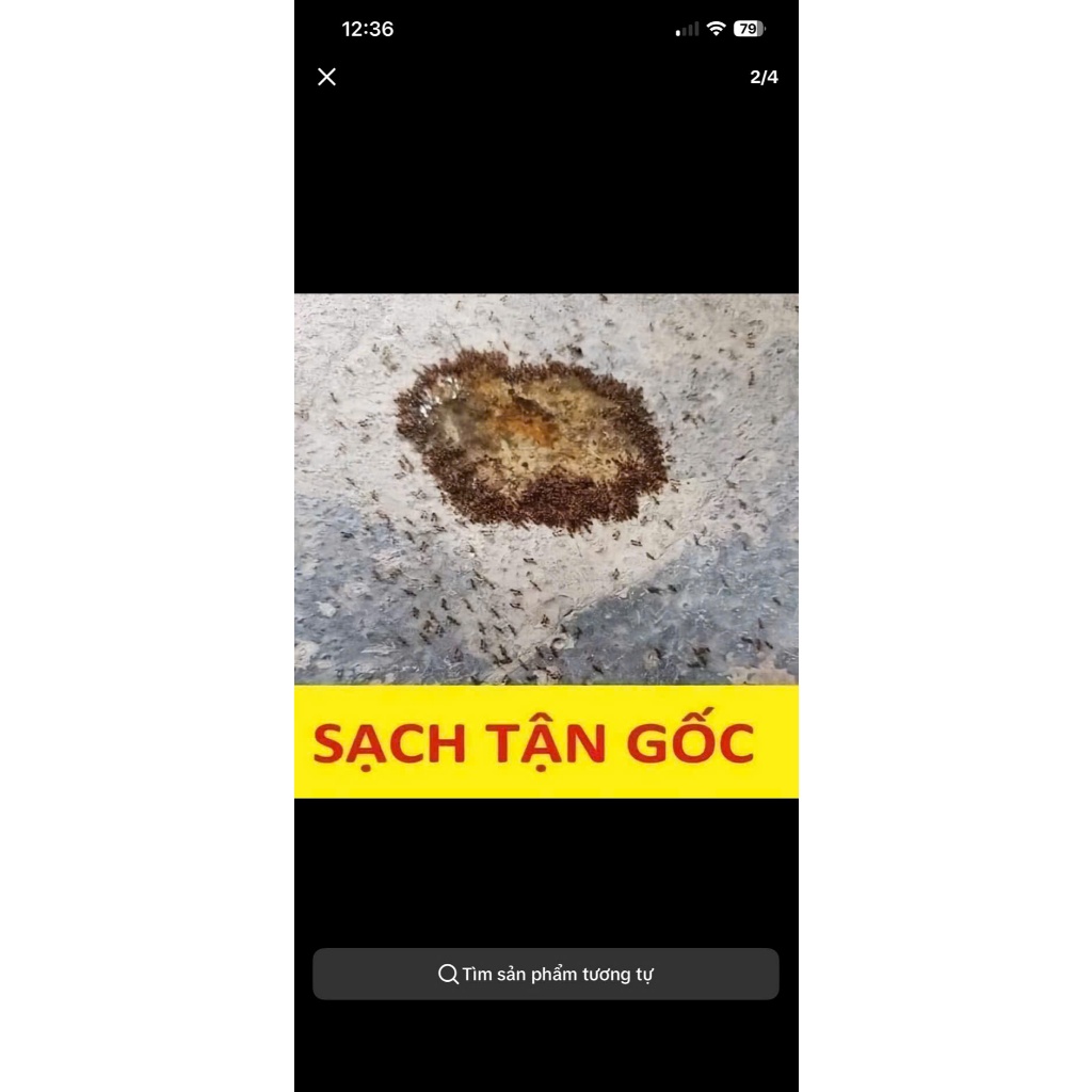 Combo 10 Lọ Thuốc Diệt Kiến Gián  Không Mùi An Toàn, Hiệu Quả Thân Thiện Với Môi Trương