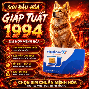 Sim Số Đẹp Hợp Tuổi 1994 Giáp Tuất Mệnh Sơn Đầu Hỏa Hỗ Trợ Công Việc Và Tài Lộc