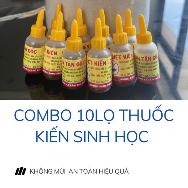 Combo 10 Lọ Thuốc Diệt Kiến Gián  Không Mùi An Toàn, Hiệu Quả Thân Thiện Với Môi Trương