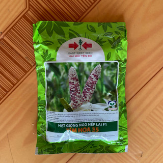 Hạt giống ngô (bắp) nếp lai F1 TÍM HOA 35 Hai Mũi Tên Đỏ - gói 100gram và 500gram