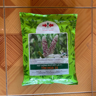 Hạt giống ngô (bắp) nếp lai F1 TÍM HOA 35 Hai Mũi Tên Đỏ - gói 100gram và 500gram