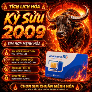 Sim Số Đẹp Hợp Tuổi 2009 Kỷ Sửu Mệnh Tích Lịch Hỏa Dễ Nhớ Và Thuận Tiện Sử Dụng [ĐKCC]