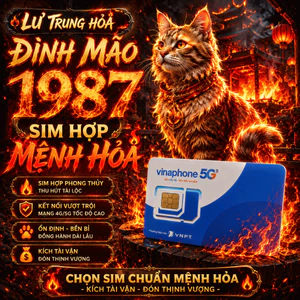 Sim Phong Thủy Cho Người Sinh Năm 1987 Mệnh Lư Trung Hỏa Mang Ý Nghĩa May Mắn [ĐKCC]