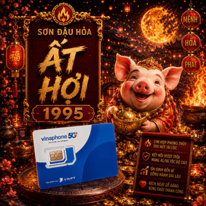 Sim Số Đẹp Hợp Tuổi 1995 Ất Hợi Mệnh Sơn Đầu Hỏa Thu Hút Tài Lộc Và May Mắn