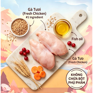 FURRY WONDER Thức Ăn Cho Mèo 1.5kg - Hỗ trợ tiết niệu, Ngăn sỏi thận, 4 lớp bảo vệ