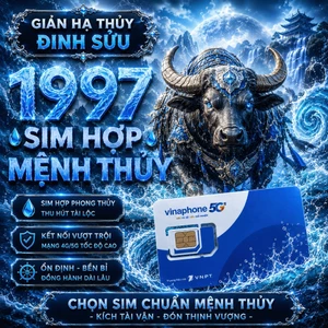 Sim Phong Thủy Hợp Tuổi 1997 Đinh Sửu Mệnh Giản Hạ Thủy Thuận Tiện Giao Tiếp Và Sử Dụng [ĐKCC]