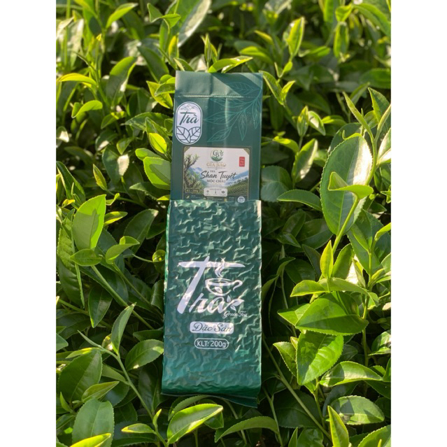 [200g] Trà Shan Tuyết Mộc Châu 200g - Sản phẩm đạt chuẩn ISO 22000:2018 - Chất lượng cao từ Mộc Châu