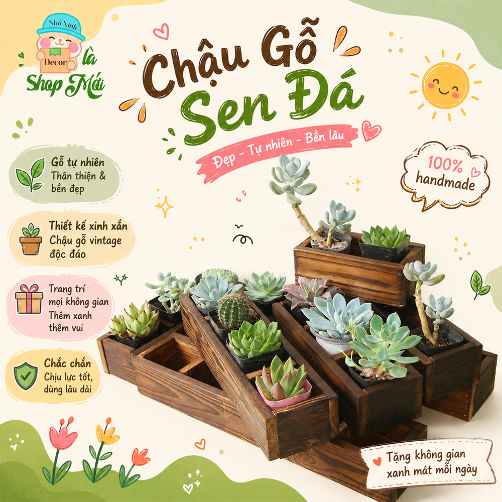 Chậu gỗ trông cây trang trí ban công, sân thượng. Chậu trồng sen đá, xương rồng cây mini