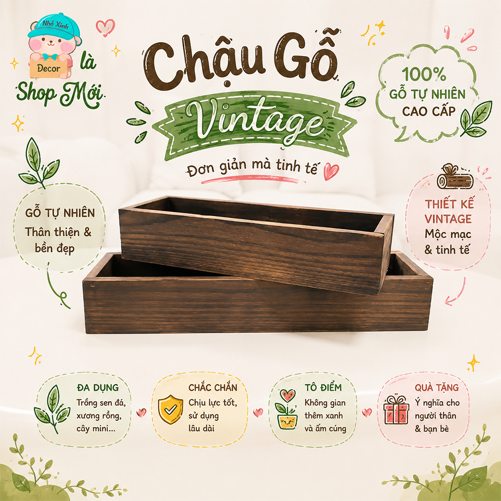 Chậu gỗ, kệ gỗ trồng sen đá, xương rồng, trồng cây cảnh mini trồng cây trong nhà