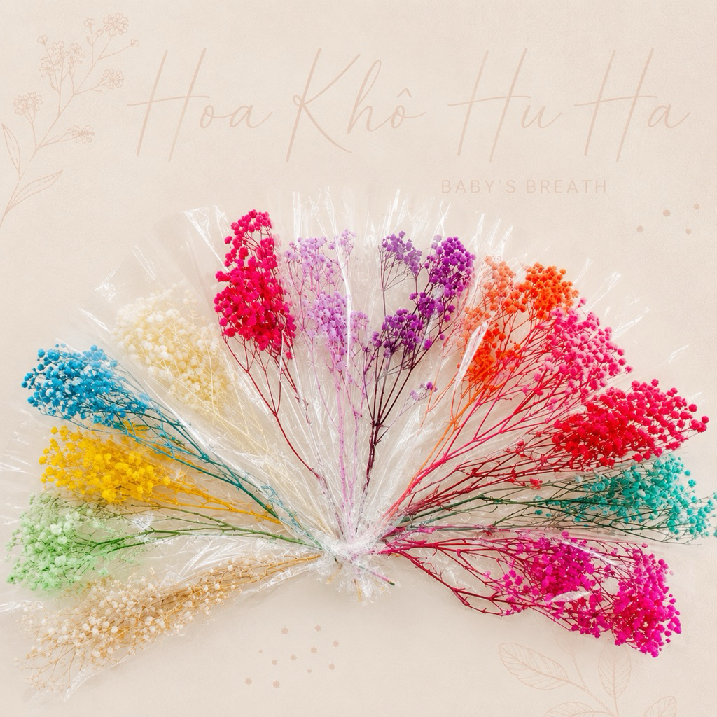 Hoa Baby Khô MiNi Quà Tặng Hoa Khô, Decor Trang Trí Hoa Khô