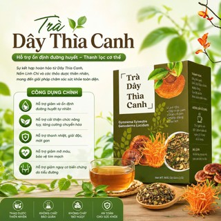 Trà dây thìa canh ổn định đường huyết hỗ trợ tiểu đường trà thảo mộc tự nhiên hộp 30 túi lọc
