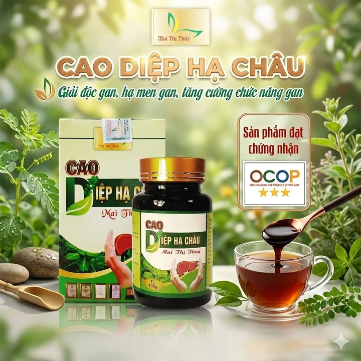 Cao diệp hạ châu nguyên chất Mai Thị Thủy 100gr - Giải độc gan, hạ men gan