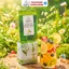Bột Matcha Đài Loan 500g Kinh Bắc, Trà Xanh Matcha, Chuẩn Pha Chế, Latte, Làm Bánh