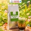 Bột Matcha Đài Loan 500g Kinh Bắc, Trà Xanh Matcha, Chuẩn Pha Chế, Latte, Làm Bánh